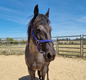 494010500 1228888752578114 4008929981689249041 N E1764651235673 300x280