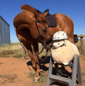 502915218 4070085296583266 6404149963087753180 N 298x300