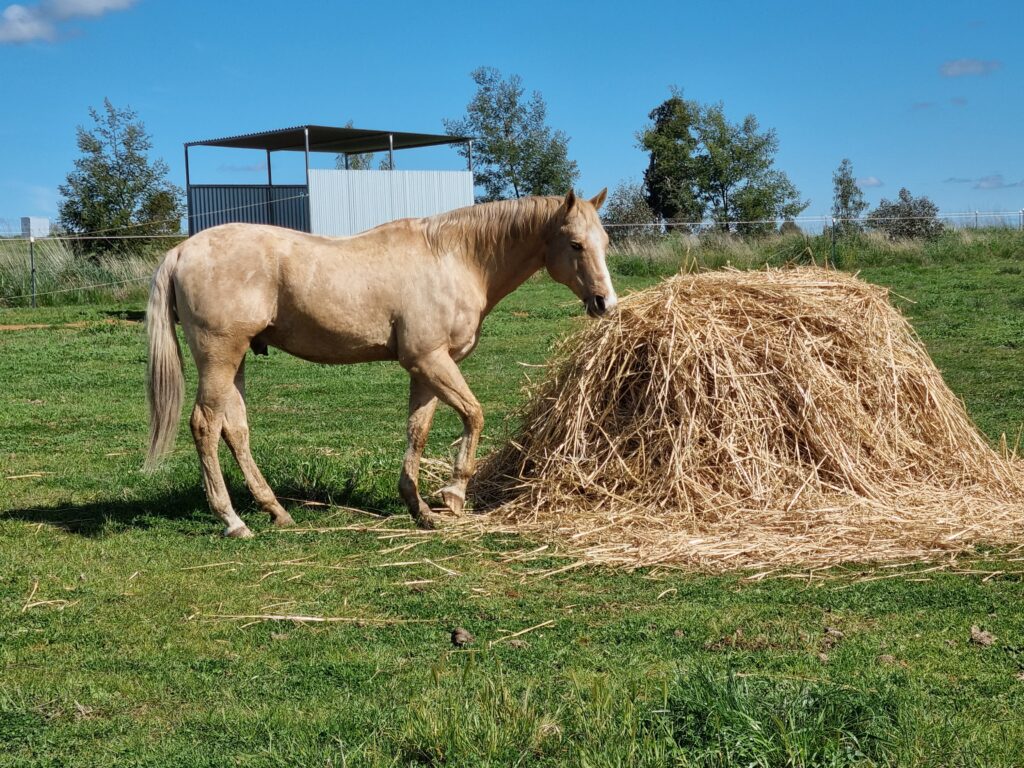 20210828_122642 (1) 20210828 122642 1 1024x768