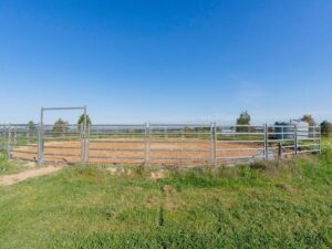 493934831 1228888962578093 5452165999832295598 N 300x225