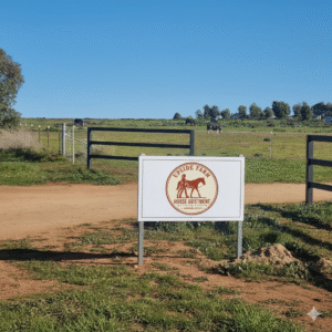 Gemini Generated Image Mnbh0nmnbh0nmnbh 300x300