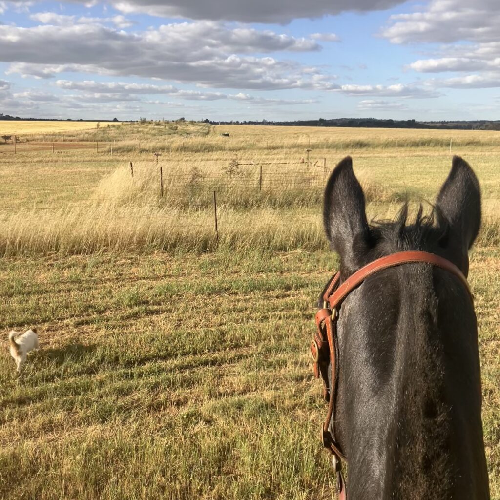 IMG_7457 IMG 7457 1024x1024